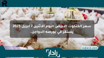 سعر الكتكوت الأبيض اليوم الإثنين 7 أبريل 2025 يستقر في بورصة الدواجن.